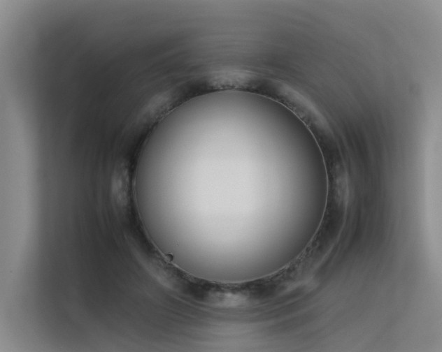 X0000113260498200909101502