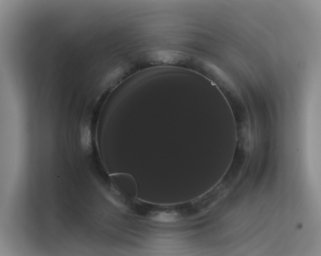 X0000113260500200909101502