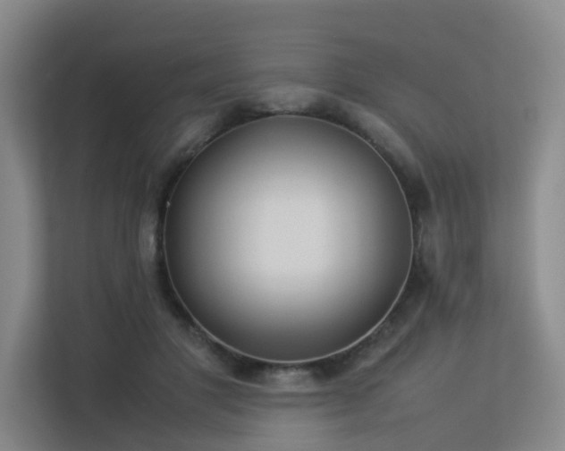 X0000113260501200909101502