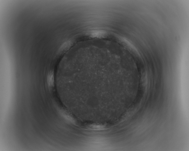 X0000113260502200909101502