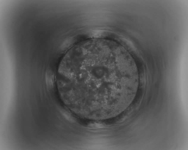 X0000113260503200909101502