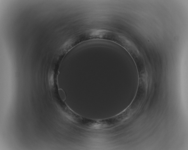 X0000113260504200909101502