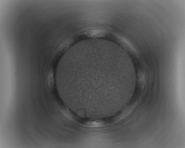 X0000113260506200909101502