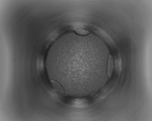 X0000113260508200909101502