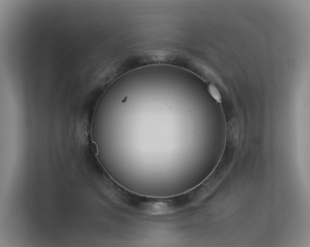 X0000113260509200909101502