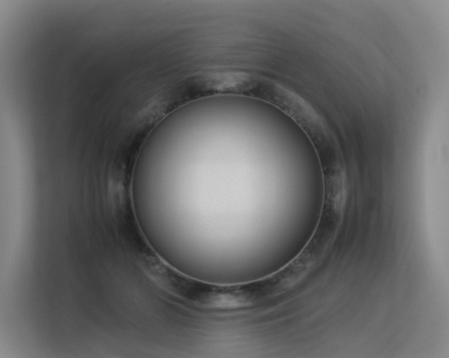 X0000113260510200909101502