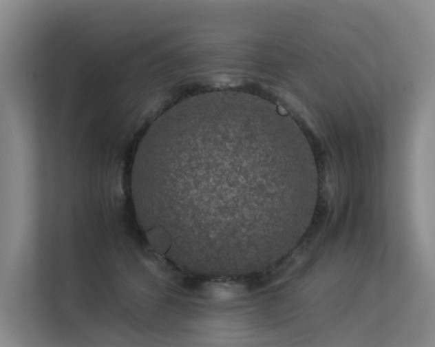 X0000113260512200909101502