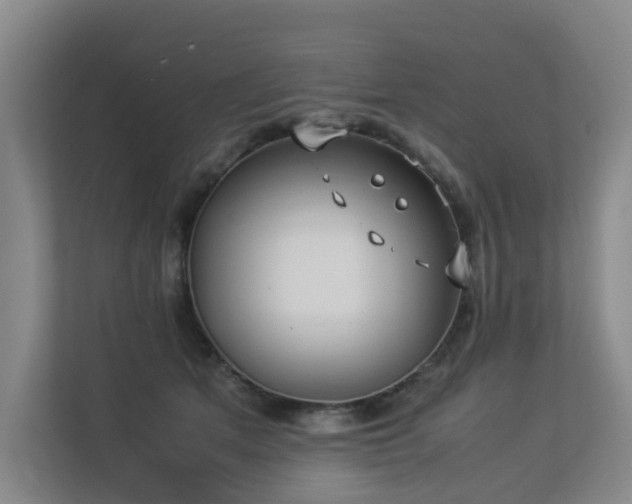 X0000113260513200909101501