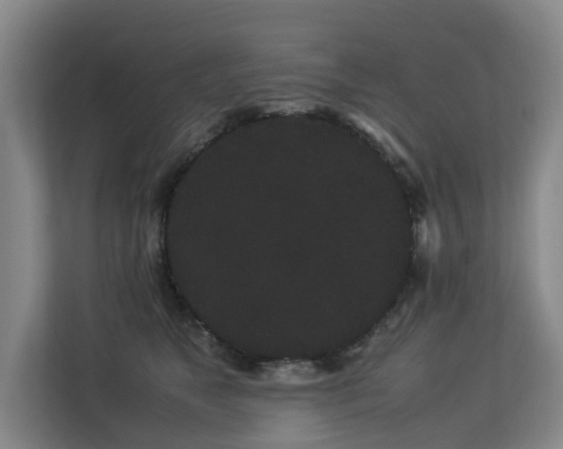 X0000113260517200909101501