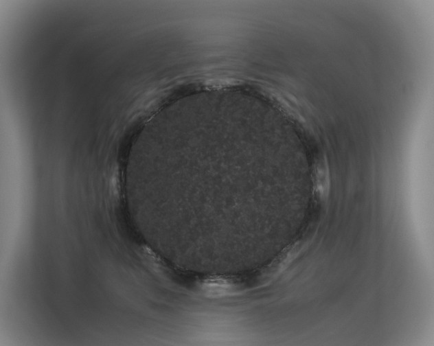 X0000113260519200909101501