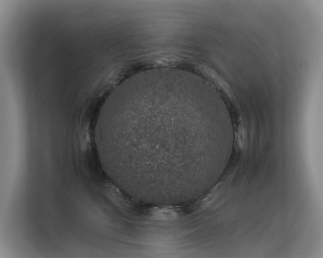 X0000113260520200909101501