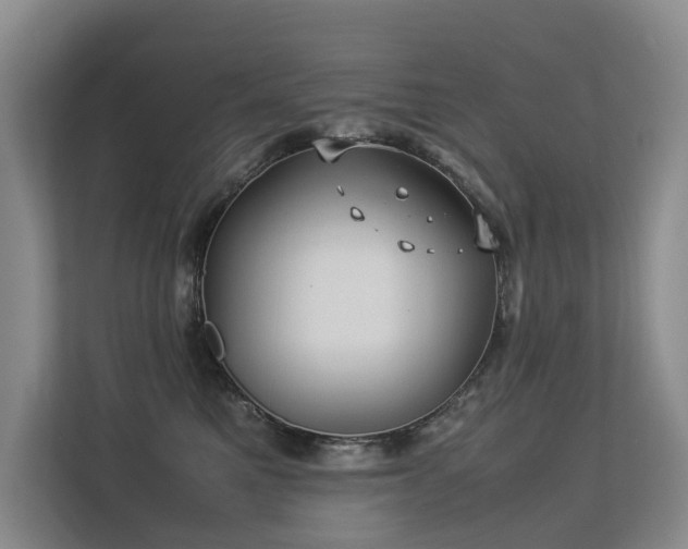 X0000113260521200909101501