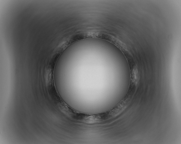 X0000113260522200909101501