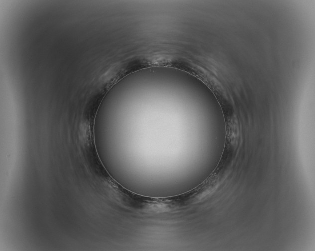 X0000113260523200909101501