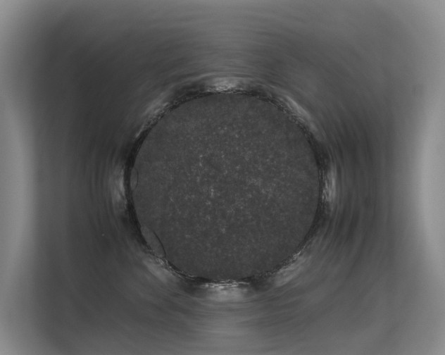 X0000113260524200909101501