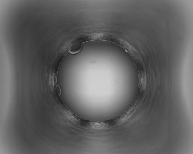 X0000113260525200909101501