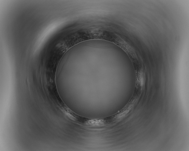 X0000113260526200909101501