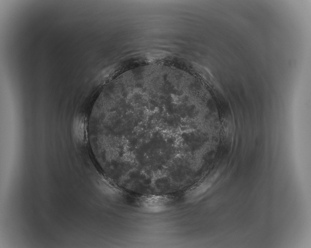 X0000113260527200909101501