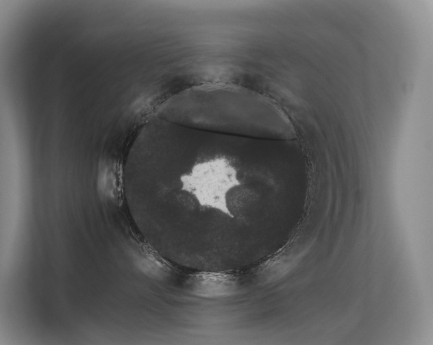 X0000113260528200909101501