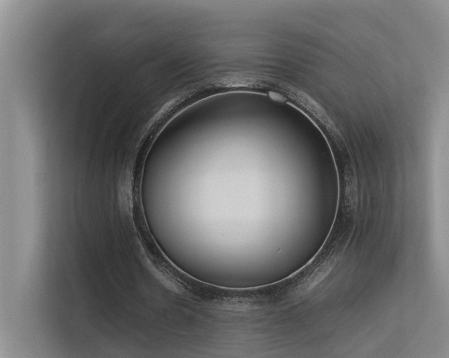 X0000113260530200909101501