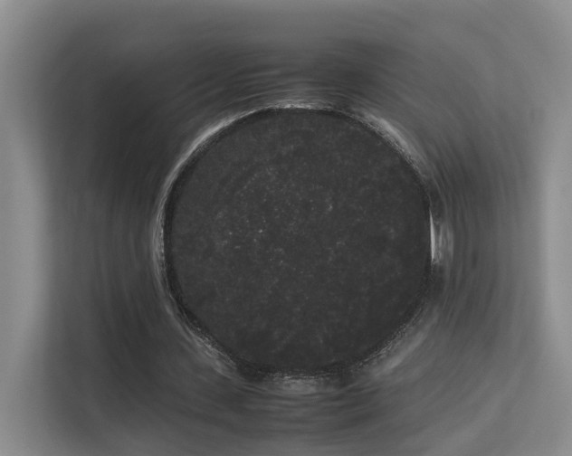 X0000113260531200909101501