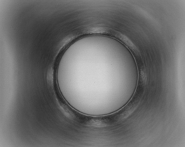 X0000113260534200909101501