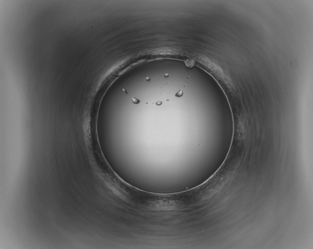 X0000113260535200909101501