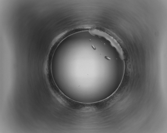 X0000113260536200909101501