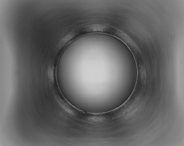 X0000113260537200909101501