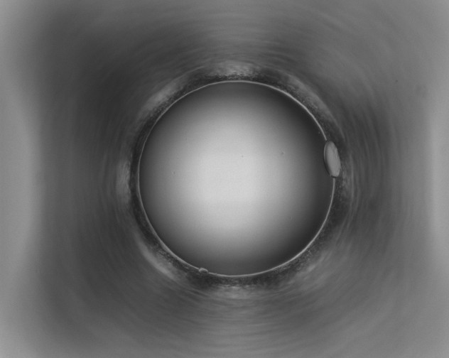 X0000113260538200909101501