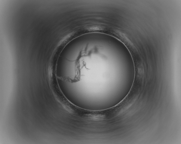 X0000113260539200909101501