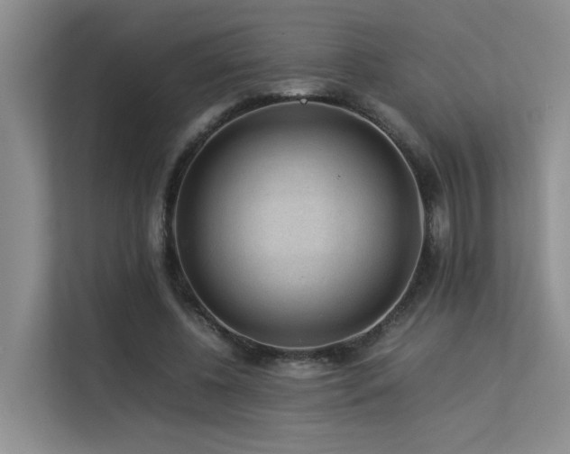 X0000113260540200909101501