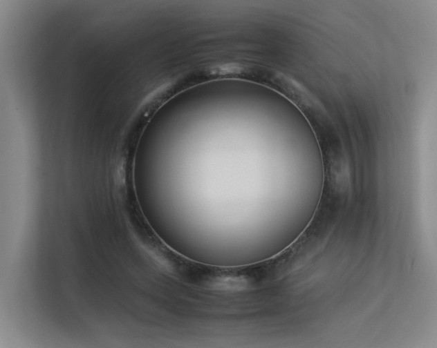 X0000113260543200909101501