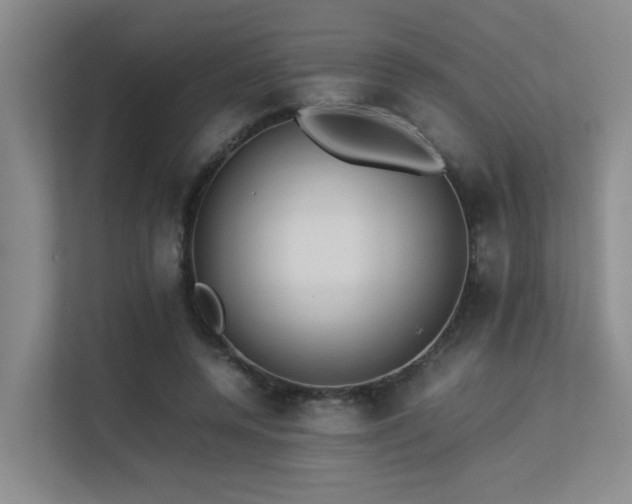 X0000113260544200909101501