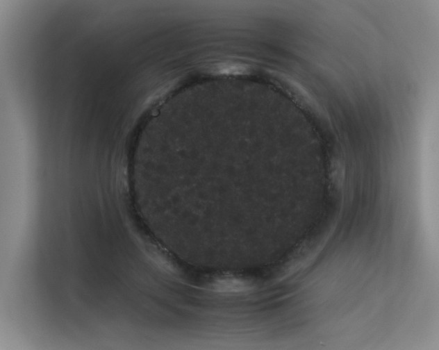 X0000113260547200909101501