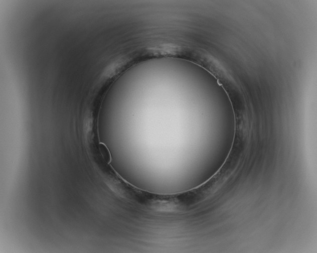 X0000113260548200909101501