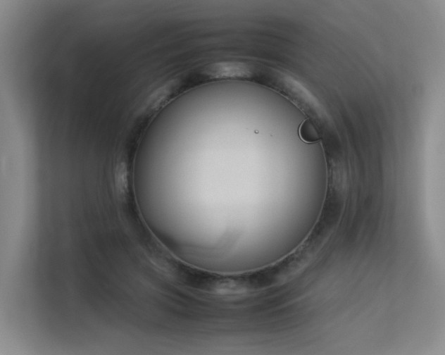 X0000113260549200909101501