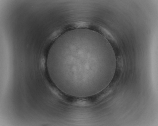 X0000113260550200909101501