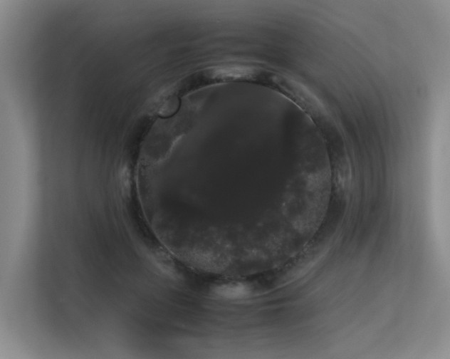 X0000113260551200909101501