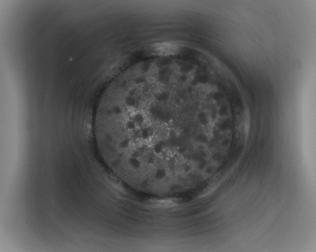 X0000113260553200909101501