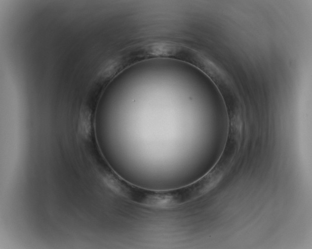 X0000113260554200909101501