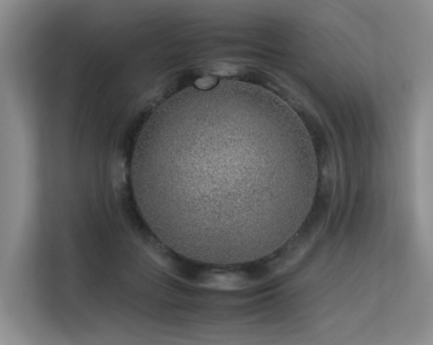 X0000113260555200909101501