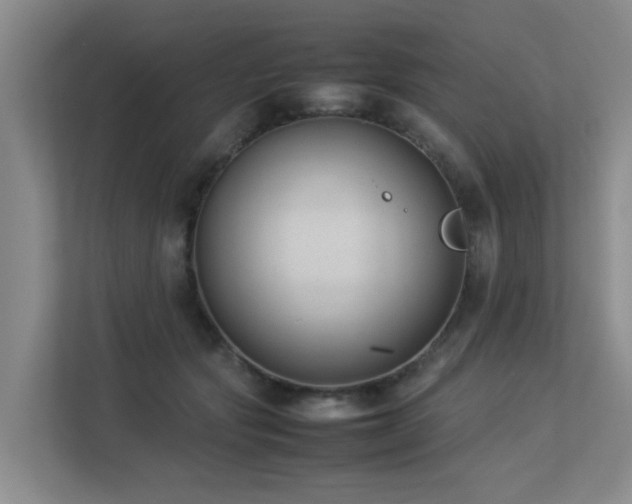 X0000113260557200909101501