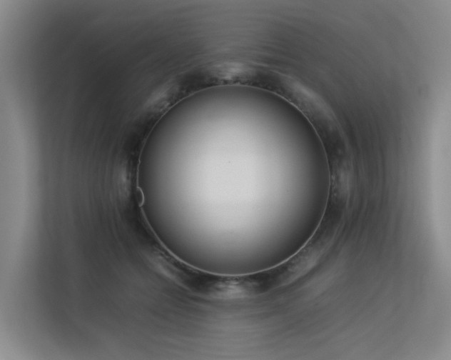 X0000113260558200909101501