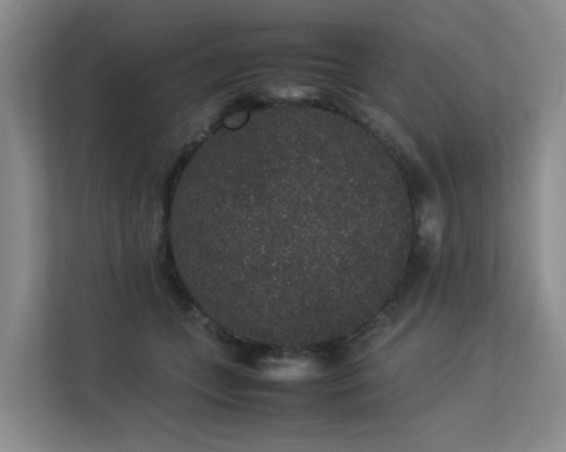 X0000113260559200909101501