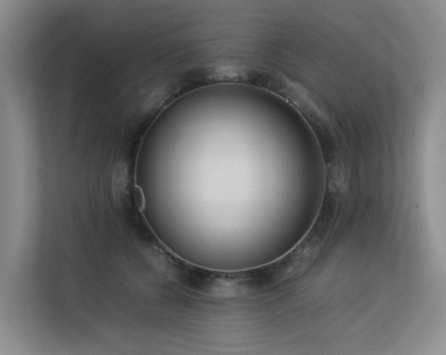 X0000113260560200909101501