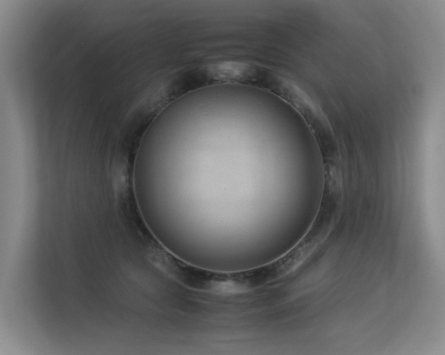 X0000113260561200909101501