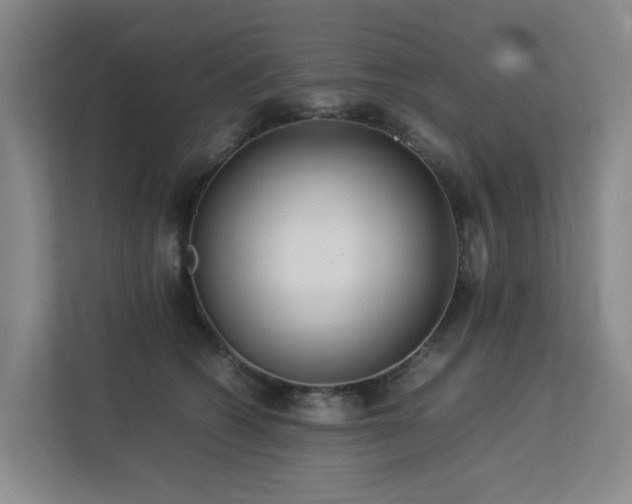 X0000113260562200909101501