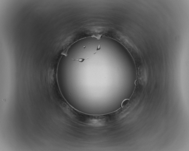 X0000113260563200909101501