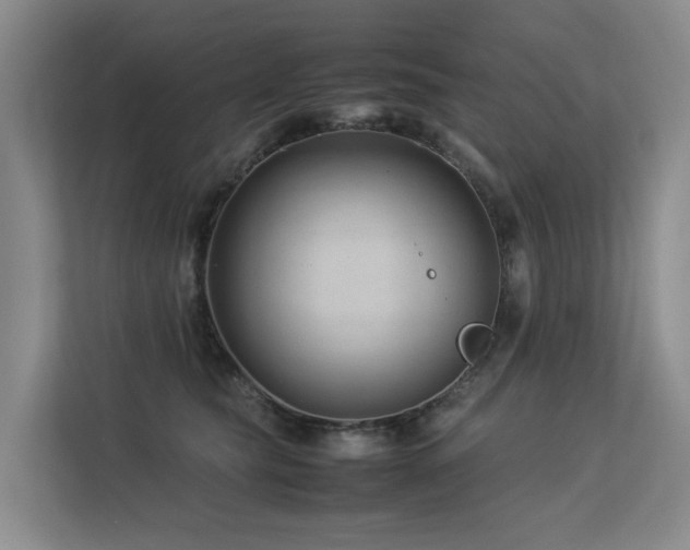 X0000113260565200909101501